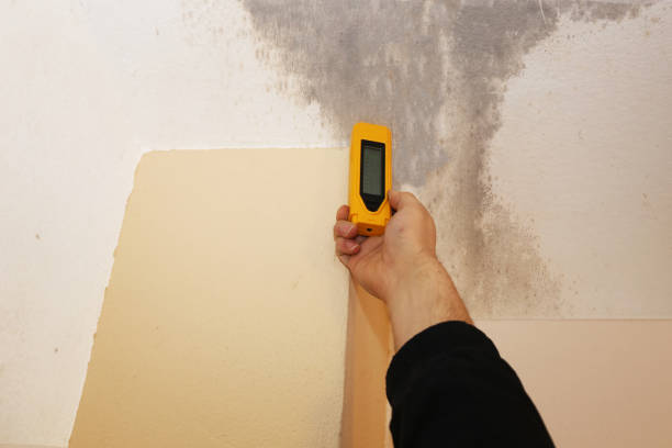 Best Dehumidification Services  in Dayton, OR