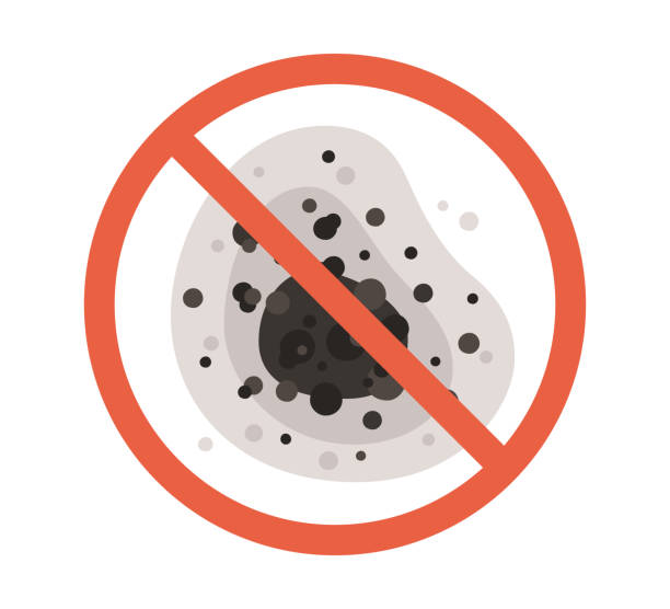 Best Indoor Air Quality Assessment  in Dayton, OR
