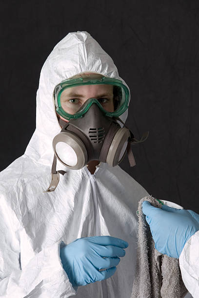 Best Basement Mold Removal  in Dayton, OR
